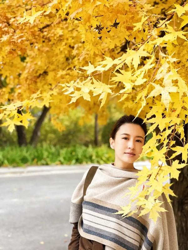 央視主持女神張蕾