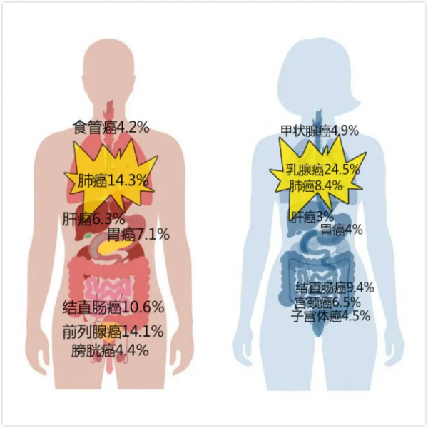 孩子日常會接觸到哪些致癌物？想不到這麼多（附一級致癌物清單）