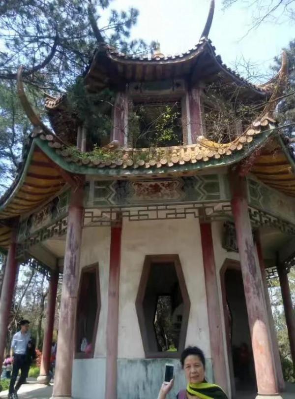 流金歲月之四:巢湖,撲朔迷離槐蔭樹 流金歲月之四:巢湖,撲朔迷離槐蔭樹