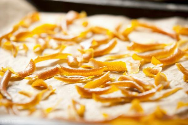 關於養花的4個冷知識，熱愛養花的你應該要知道，學到就是賺