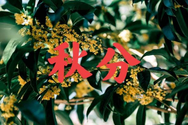 天氣預報：今日秋分，是晴天好還是下雨好呢？老祖宗農諺能預兆