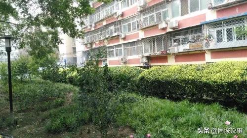 北京西城區最受歡迎的20個小區，你能買得起哪一個？