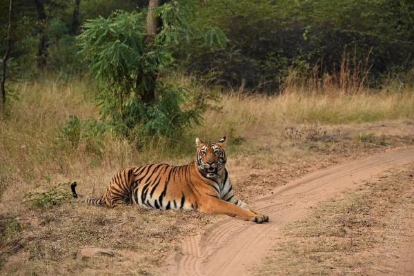在這10處綠色住宿地,體驗原汁原味的大自然 在這10處綠色住宿地,體驗原汁原味的大自然