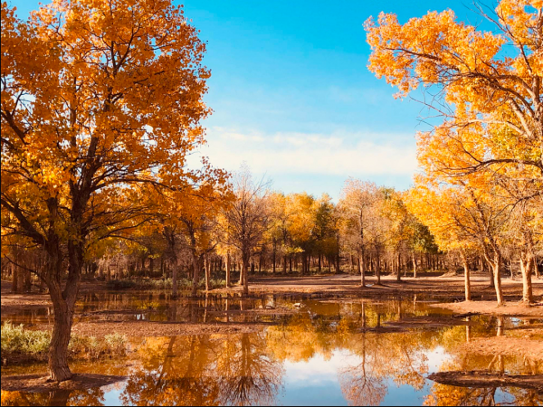寧夏旅行|最火景點彙總 寧夏旅行|最火景點彙總