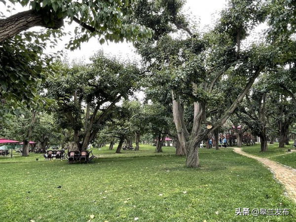 浙江衛視《奔跑吧·黃河篇》第二季節目組走進皋蘭什川