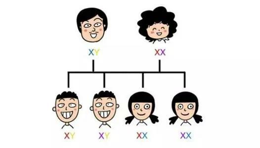 夫妻倆誰的基因決定孩子的長相和智商？