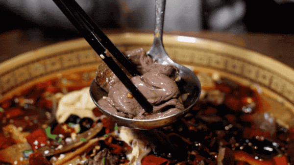 天氣一冷,廣東人真的要一口血…… 天氣一冷,廣東人真的要一口血……