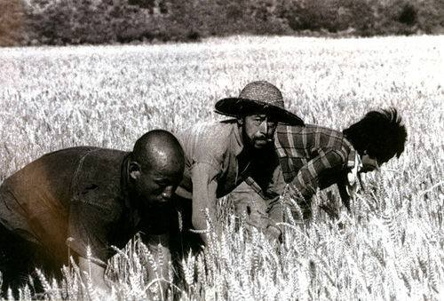 為什麼說，當你撐不下去的時候，就應該想一想1950年的中國？