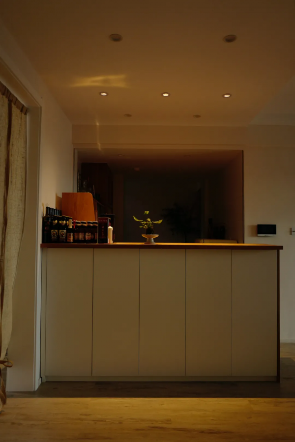 37歲，兩套房，她9年不戀愛，1人住10年：有錢有房，快樂翻倍