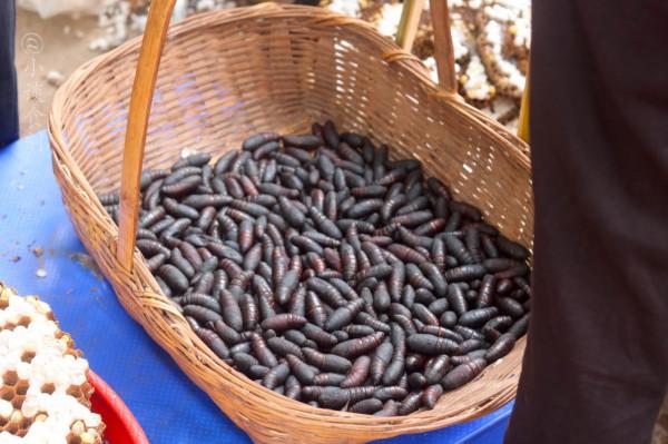 雲南菜市場有多“野”，逛了一圈，讓人眼界大開，幾乎都不認識