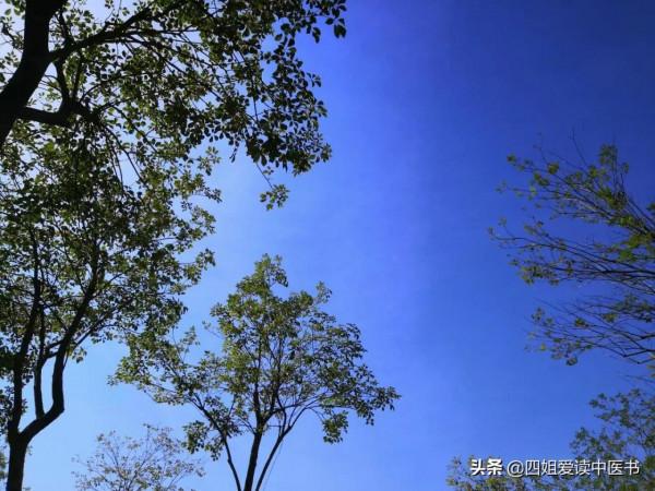 中醫知識每日一讀：傷寒總病論：發汗吐下後雜病證