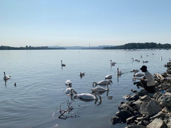 2019暑假塞爾維亞、波黑之旅（2）