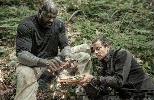 荒野求生為何停播？