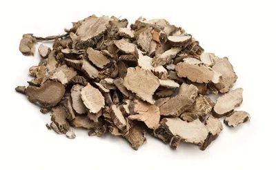 國醫大師顏德馨:溫陽活血治冠脈術後再狹窄 國醫大師顏德馨:溫陽活血治冠脈術後再狹窄