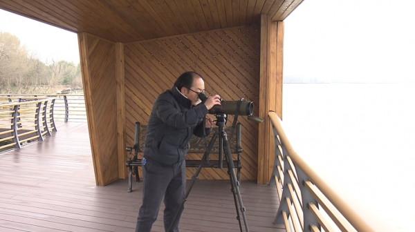 明珠湖發現&OpenCurlyDoubleQuote;鳥中大熊貓&rdquo;