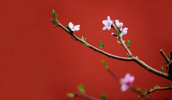 10個《道德經》謙謙君子的男孩名字,驚豔了時光,溫柔了歲月 10個《道德經》謙謙君子的男孩名字,驚豔了時光,溫柔了歲月