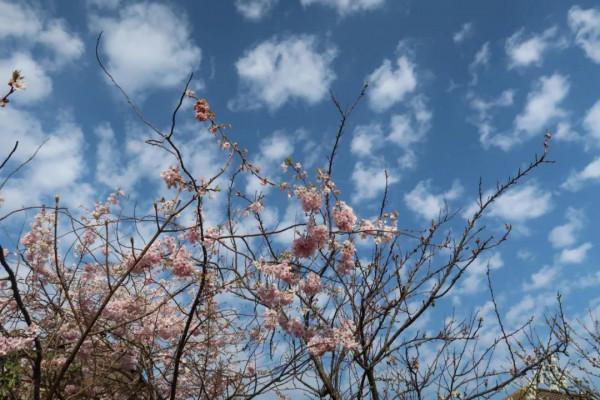 驚人的社交定律！（深刻）