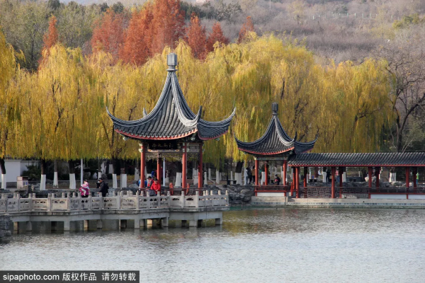 顏值爆表！北京熱門賞秋地，紅葉盛宴即將來襲~