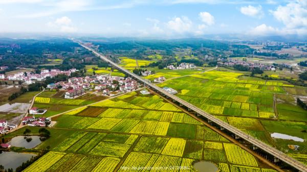 江西老紅軍奉命支教,到任後卻被當場逮捕判處死刑,他犯了什麼罪? 江西老紅軍奉命支教,到任後卻被當場逮捕判處死刑,他犯了什麼罪?