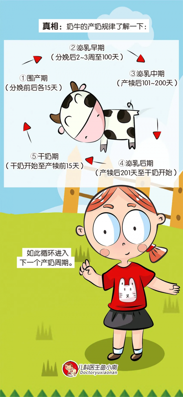 喝牛奶能助眠？解讀這13個喝牛奶誤區，看看你被騙了多少年？