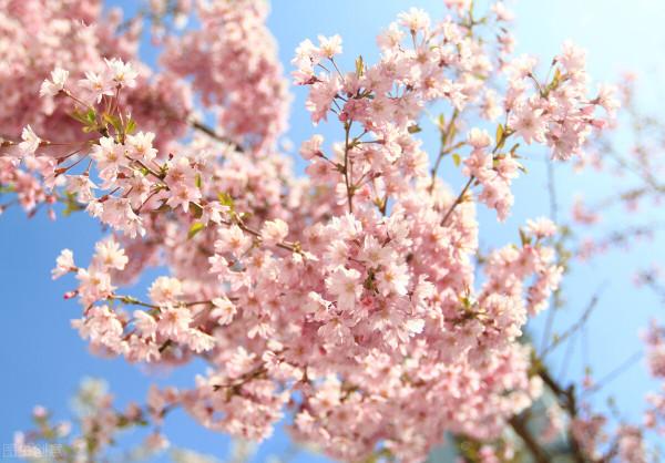 立春有約，想念，想見，但願這個春天，不負自己的深情