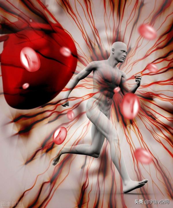 豬腎人用?美國成功地將豬腎移植到病人身上,併產生了人尿 豬腎人用?美國成功地將豬腎移植到病人身上,併產生了人尿