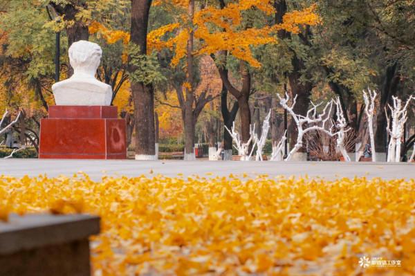 上大學像在“度假”?中國這14所高校風景美如畫,簡直是在拉仇恨 上大學像在“度假”?中國這14所高校風景美如畫,簡直是在拉仇恨