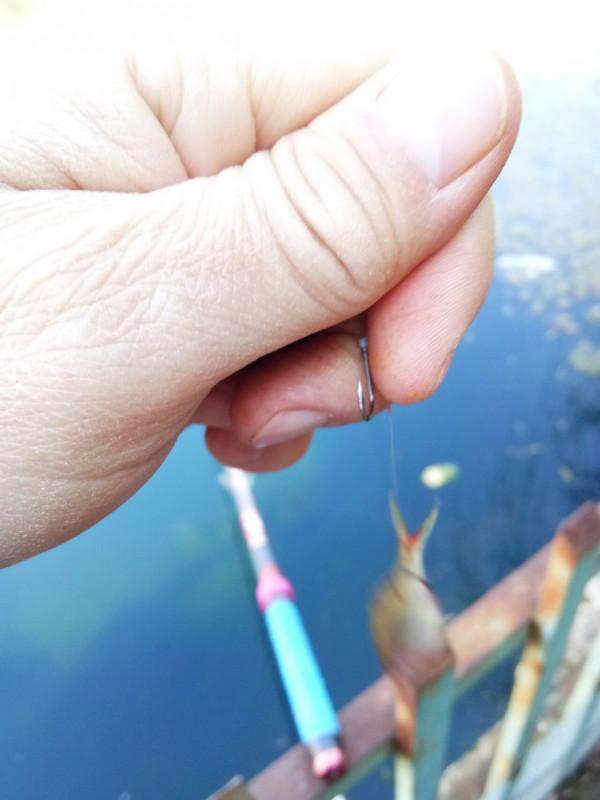 新年首釣的快樂，無非是真“打龜”了