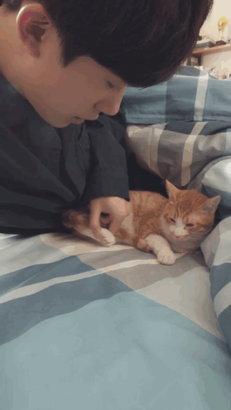 男明星的溫柔與寵溺都給了萌寵,好羨慕 男明星的溫柔與寵溺都給了萌寵,好羨慕