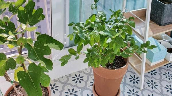 韓國主婦的日常生活，105㎡勤收拾，家中每一處都乾淨得像樣板間