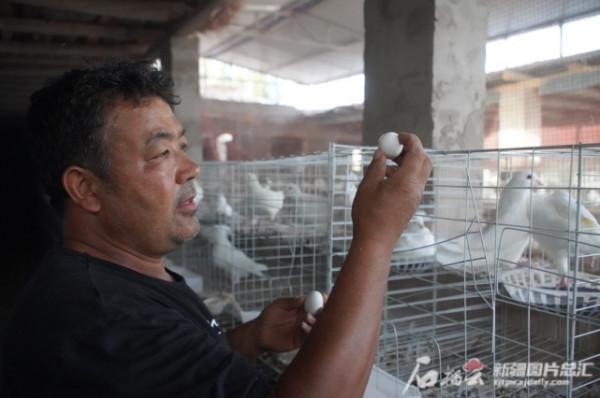 走進鄉村看小康丨來，相約一場“尋ge”之旅