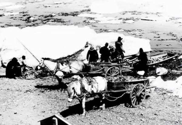 當師長受制於副師長,當司令請不動副司令,難怪他要率部起義 當師長受制於副師長,當司令請不動副司令,難怪他要率部起義