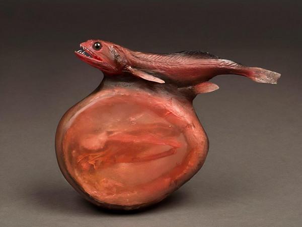 25張罕見的動物照片：折斷脖子的長頸鹿，會噴粉色墨汁的海兔