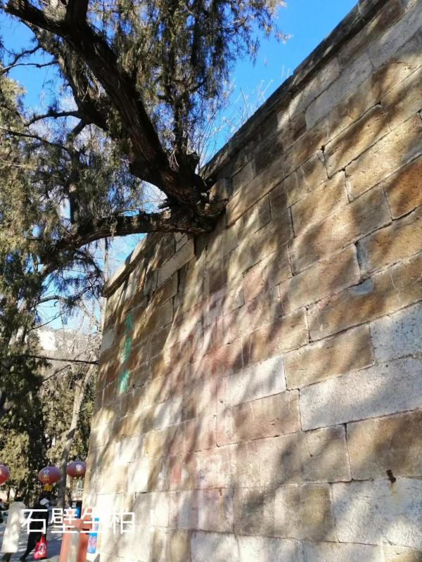 &dollar;&period;006&period;頂遊五峰山