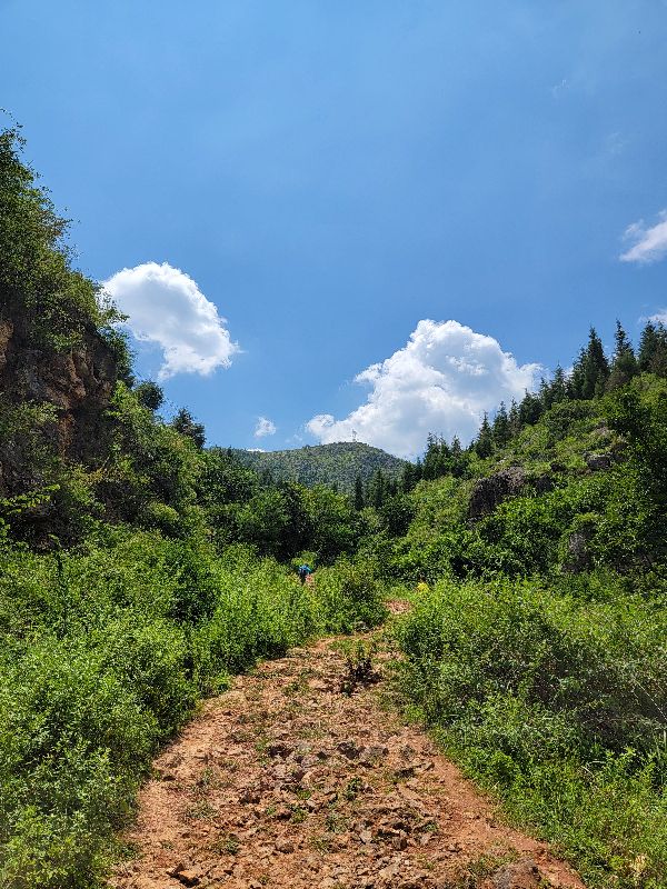 終結三星s21u和note20u選擇困難症