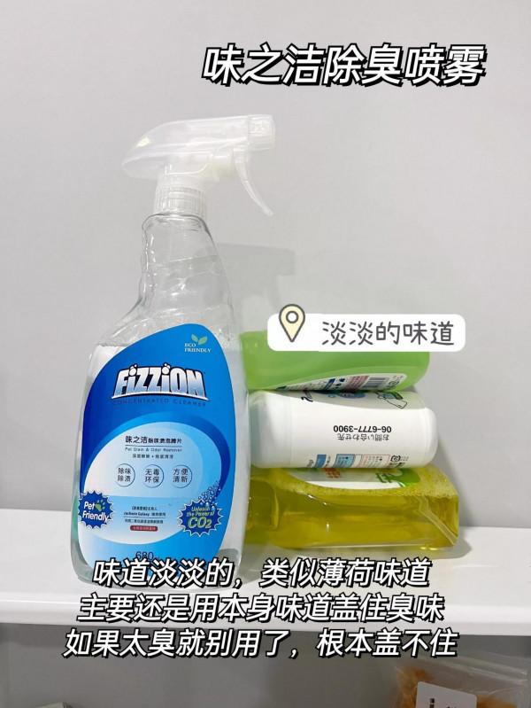 一步教你如何養貓無異味！別說不會