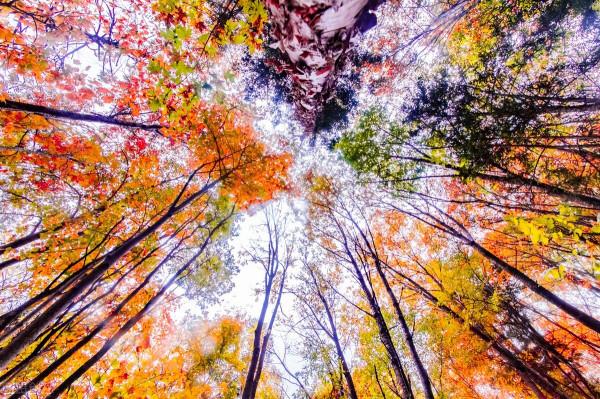 有關黑龍江省的二十二個冷知識，你知道多少個？