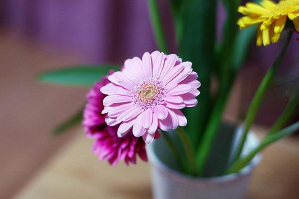 睡覺前發朋友圈的經典語句