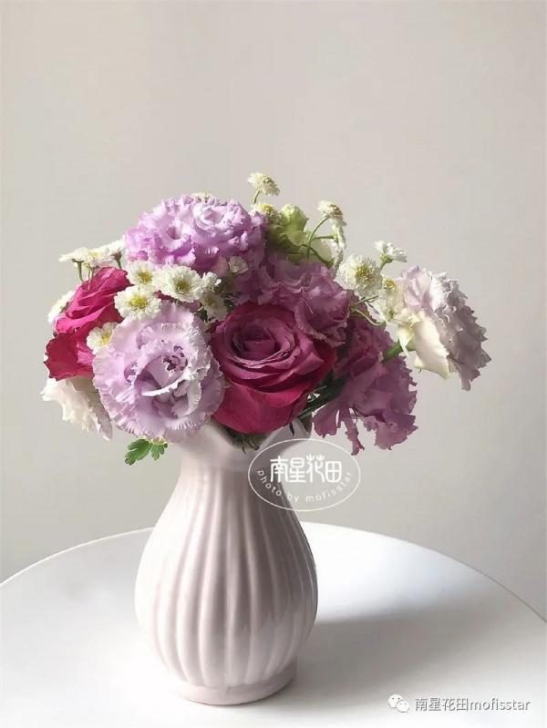 小女孩洋甘菊 · 花邊小白裙