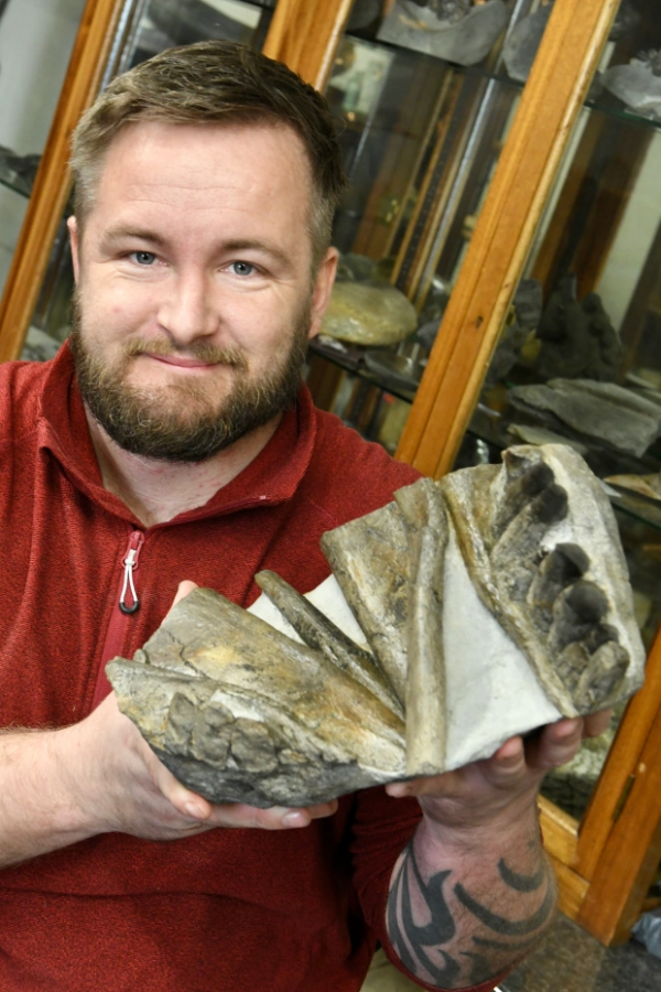 英國男子旅遊發現侏羅紀時期化石,巨大鋒利牙齒,距今約有2億年 英國男子旅遊發現侏羅紀時期化石,巨大鋒利牙齒,距今約有2億年