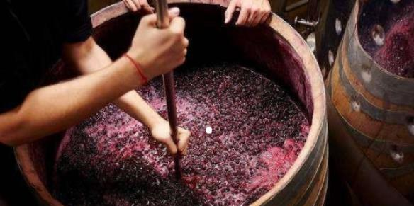 為什麼自釀葡萄酒不建議你喝？自釀葡萄酒有毒，這說法有什麼依據？