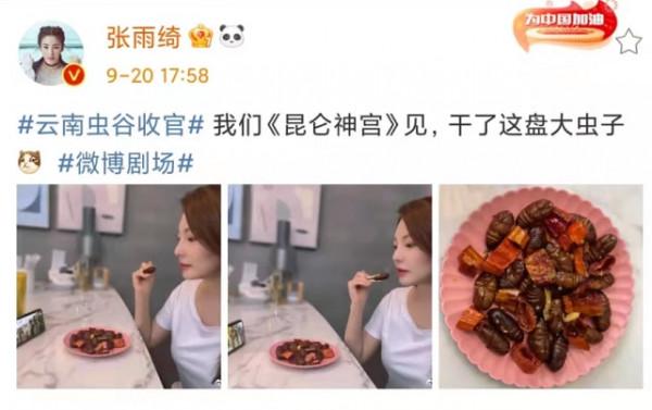真女漢子！《雲南蟲谷》收官張雨綺線上吃蟲子，網友：是個狠人