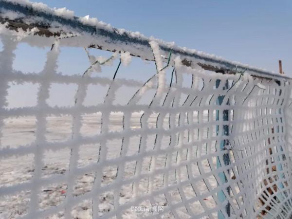 霧裡看凇｜冰城今日限定美景