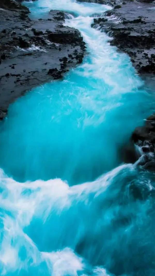 成年人玩得這麼野，小心把命都玩丟了