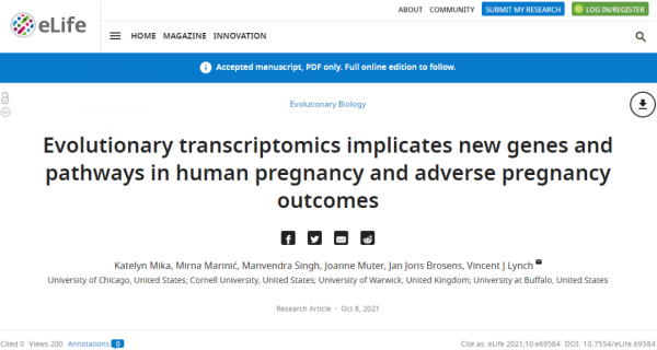 「研究」基因研究探索人類懷孕的獨特之處