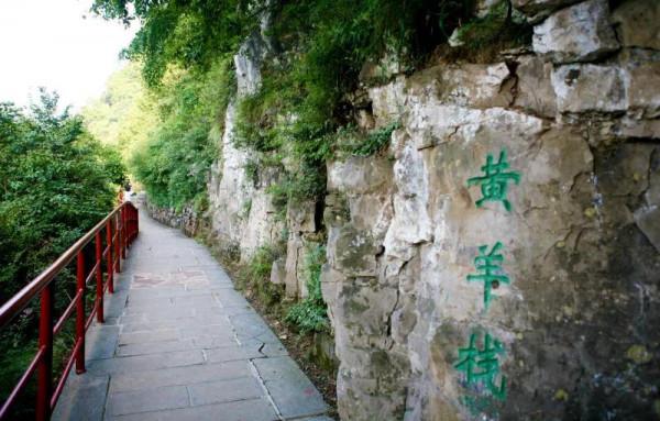 王莽嶺景區——黃羊棧 王莽嶺景區——黃羊棧