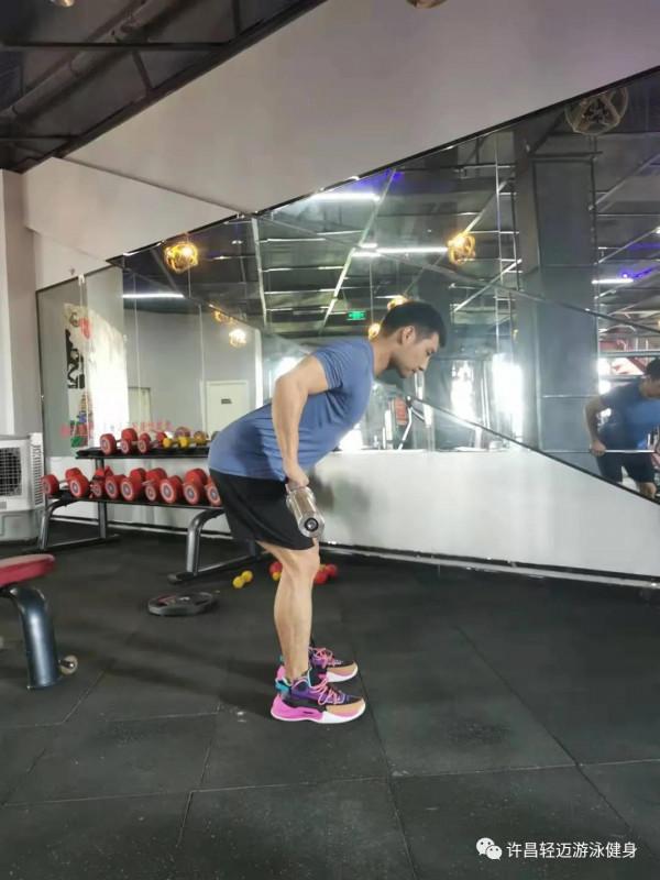 背部的訓練動作有哪些?該怎麼做 背部的訓練動作有哪些?該怎麼做