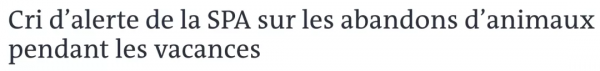 法國《反虐待動物法》出臺!我們的立法還會遠嗎? 法國《反虐待動物法》出臺!我們的立法還會遠嗎?