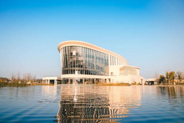 旁友，票子要哇？免費，跨年活動，就在九棵樹