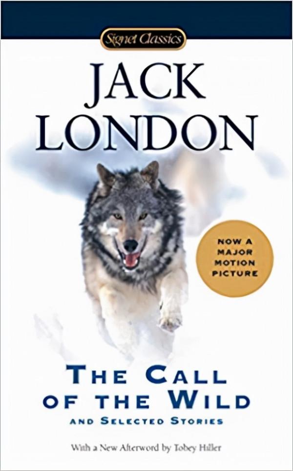 美國高中生常讀的15本文學書 美國高中生常讀的15本文學書